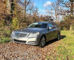 Mercedes-Benz Mercedes-Benz E 250 CDI T BlueEFFICIENCY Autom. - Gebrauchtwagen