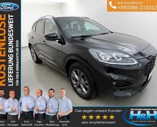 Ford Ford Kuga 2.5 Plug-in Hybrid ST-Line X AHK+Kamera Gebrauchtwagen