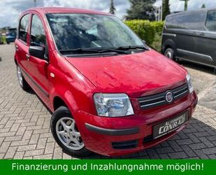 Fiat Fiat Panda 1.2 8V Dynamic AUTOMATIK/TÜV NEU/1.HAND Gebrauchtwagen