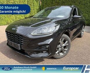 Ford Ford Kuga Hybrid ST-Line X AHK Navi digitales Cock Gebrauchtwagen