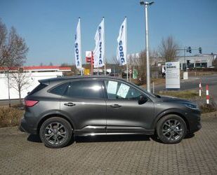 Ford Ford Kuga ST-Line X 1.5 Ecoboost 2x4 Gebrauchtwagen