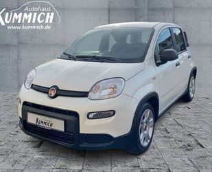 Fiat Fiat Panda Hybrid 1.0l 70PS Gebrauchtwagen