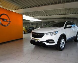 Opel Opel Grandland (X), WinterPaket, Klima AT, Gebrauchtwagen