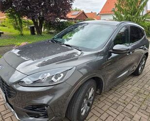 Ford Ford Kuga 2.5 Duratec PHEV ST-Line CVT ST-Line Gebrauchtwagen