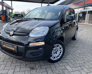 Fiat Panda Gebrauchtwagen