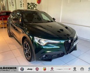 Alfa Romeo Alfa Romeo Stelvio VELOCE 2.2 Diesel 154kW (210 PS Gebrauchtwagen