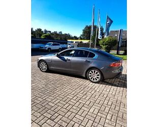 Jaguar Jaguar XE 20t 200PS Pure Automatik Pure Gebrauchtwagen