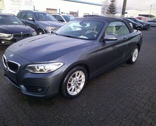 BMW BMW 220i Cabrio, Automatik, Alu, Leder Gebrauchtwagen