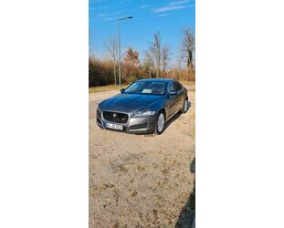 Jaguar Jaguar XF 30d 300PS R-Sport Automatik R-Sport Gebrauchtwagen