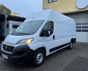 Fiat Fiat Ducato Maxi 35 140 L5H3 RS: 4035 Gebrauchtwagen