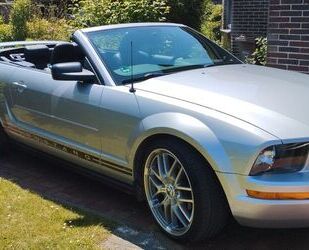 Ford Mustang Gebrauchtwagen