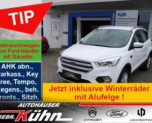 Ford Ford Kuga 1.5 Titanium - WR, Xenon, RFK, SHZ, Navi Gebrauchtwagen