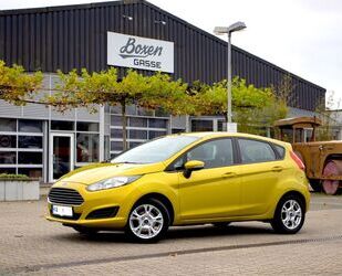 Ford Ford Fiesta 1,0 EcoBoost 74kW SYNC Edition SYNC E. Gebrauchtwagen