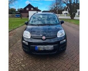 Fiat Fiat New Panda 1.2 8V LOUNGE LOUNGE Gebrauchtwagen