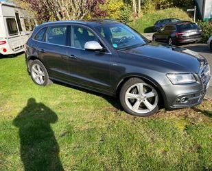 Audi Audi SQ5 3.0 TDI , AHK, Panoramaschiebedach Gebrauchtwagen