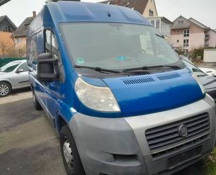 Fiat Fiat Ducato Gebrauchtwagen