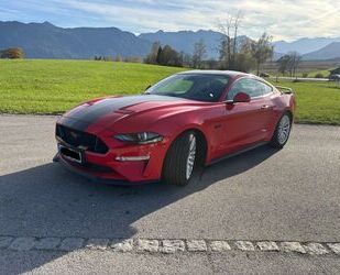 Ford Ford Mustang 5.0 Ti-VCT V8 GT GT Gebrauchtwagen