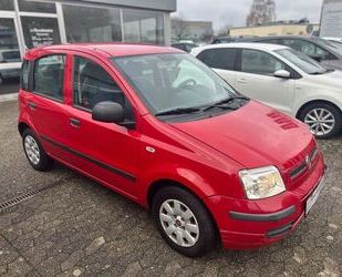 Fiat Fiat Panda 1.2 8V Dynamic AUTOMATIK Gebrauchtwagen