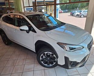 Subaru Subaru XV 1.6i EDITION Comfort plus Lineartr. 2,99 Gebrauchtwagen