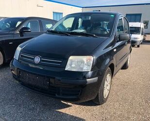 Fiat Fiat Panda 1.2 8V Dynamic Gebrauchtwagen