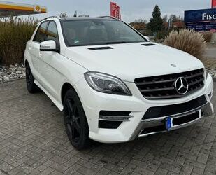 Mercedes-Benz Mercedes-Benz ML 350 CDI 4MATIC AMG Panorama Harma Gebrauchtwagen