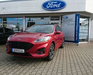 Ford Ford Kuga ST-Line X 190PS Allrad AHK LED DAB ACC Gebrauchtwagen