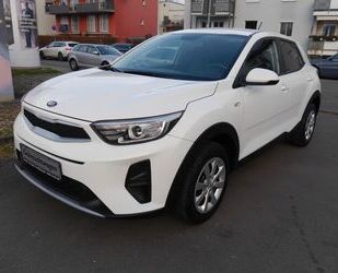 Kia Kia Stonic Edition 7 Gebrauchtwagen