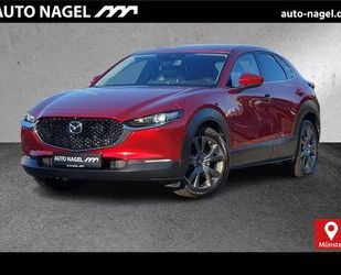 Mazda Mazda CX-30 2.0 SKYACTIV-X 100 DESIGN PAK SCHIEBED Gebrauchtwagen