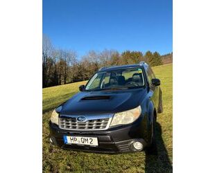 Subaru Subaru Forester 2.0D Edition Edition Leder AHK Gebrauchtwagen