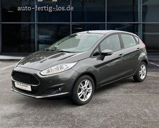 Ford Ford Fiesta 1.0 SYNC-Edition PDC RFK Winter-Paket Gebrauchtwagen