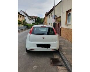 Fiat Fiat Punto 1.2 8V My Punto Gebrauchtwagen