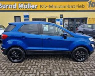 Ford Ford EcoSport 1.0 EB 1. Hd. Winter + Easy-Driver + Gebrauchtwagen