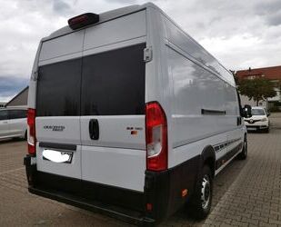 Fiat Fiat Ducato Maxi L4 H2 Gebrauchtwagen