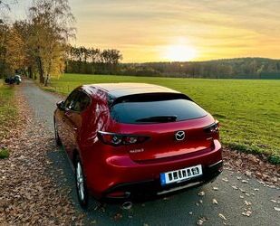 Mazda Mazda 3 2.0 SKYACTIV-X M-Hybrid Edition 100 Editio Gebrauchtwagen