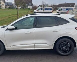 Ford Ford Kuga 2.5 Duratec PHEV ST-Line X CVT ST-Line X Gebrauchtwagen