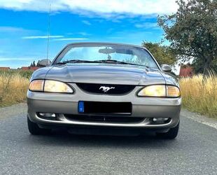 Ford Ford Mustang GT Convertible Gebrauchtwagen