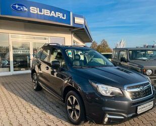 Subaru Subaru Forester 2.0iComfort*LED*DAB+*AHZV*Standhei Gebrauchtwagen