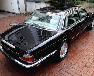 Jaguar Jaguar Daimler V8 Limousine lang späte Version 200 Gebrauchtwagen