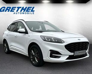 Ford Ford Kuga ST-Line X 2.0 EcoBlue EU6d AHK-abnehmbar Gebrauchtwagen