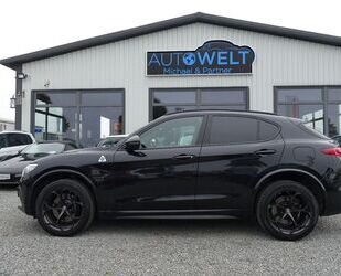 Alfa Romeo Alfa Romeo Stelvio Quadrifoglio Q4 2.9V6T Aut.LED Gebrauchtwagen