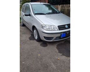 Fiat Fiat Punto 1.2 8V - Gebrauchtwagen