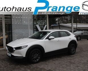 Mazda Mazda CX-30 M-Hybrid Selection G-122 NAVI ACAA SHZ Gebrauchtwagen