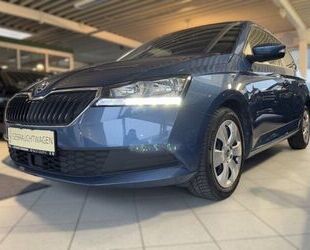 Skoda Skoda Fabia 1.0 TSI Best of Drive 125 Gebrauchtwagen