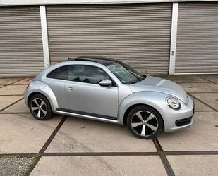 VW Volkswagen Beetle 1.6 TDI VW Gebrauchtwagen