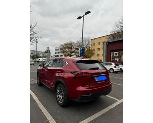 Lexus Lexus NX 300 300h Executive Line Executive Line Gebrauchtwagen