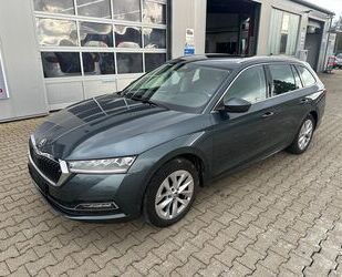 Skoda Skoda Octavia Combi 2.0 TDI First Edition Standhei Gebrauchtwagen