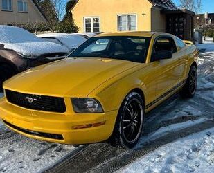 Ford Ford Mustang 4,0 V6 HU NEU LEDER 19