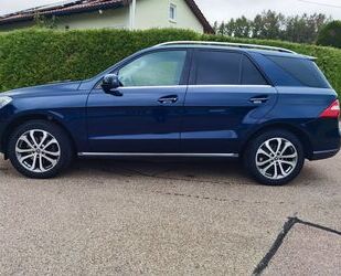 Mercedes-Benz Mercedes-Benz ML 350 ML -Klasse ML 350 CDI BlueTec Gebrauchtwagen