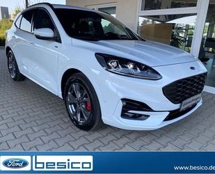 Ford Ford Kuga ST-Line X FHEV+LED+B&O+BLIS+ACC+PDC+NAV+ Gebrauchtwagen