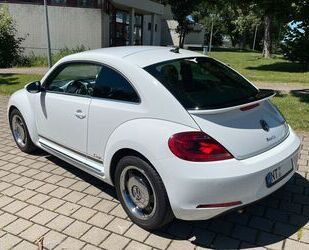 VW Volkswagen Beetle 1.2 TSI DSG BMT CUP CUP Gebrauchtwagen